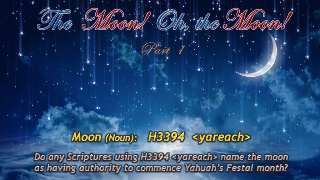 Moon #1 video
