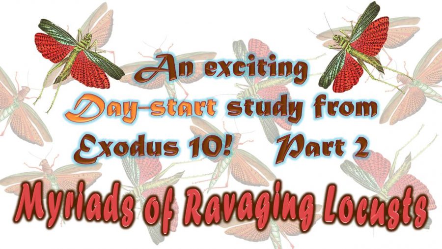 3.4  Exodus 10 Locusts Part 2  [78 slides]  TA  17 July 2020 Power Point